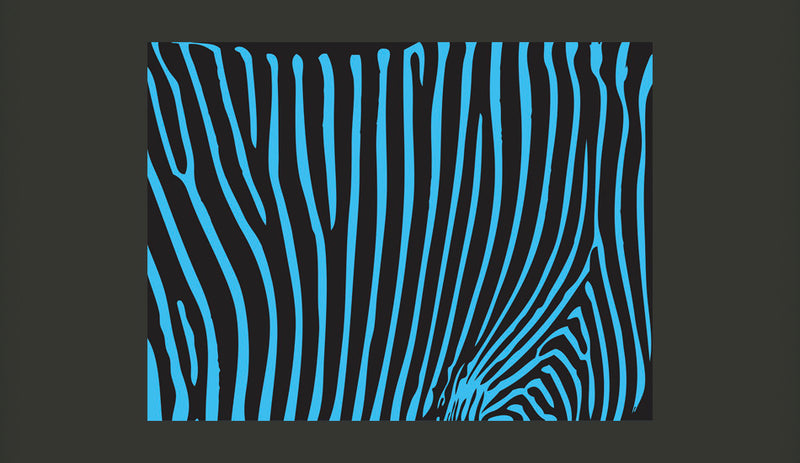 Fotomurale - Zebra Pattern Turchese 200X154 cm Carta da Parato Erroi-2