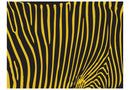 Carta da Parati Fotomurale - Zebra Pattern - Giallo 200x154 cm Erroi-2