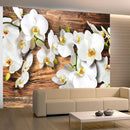 Fotomurale - Orchidee Nivee 200X154 cm Carta da Parato Erroi-1