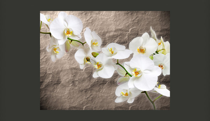 Fotomurale - Purezza di Orchidea 200X154 cm Carta da Parato Erroi-2