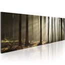 Quadro - Canvas Print - Morning in The Woods 120x40cm Erroi-1