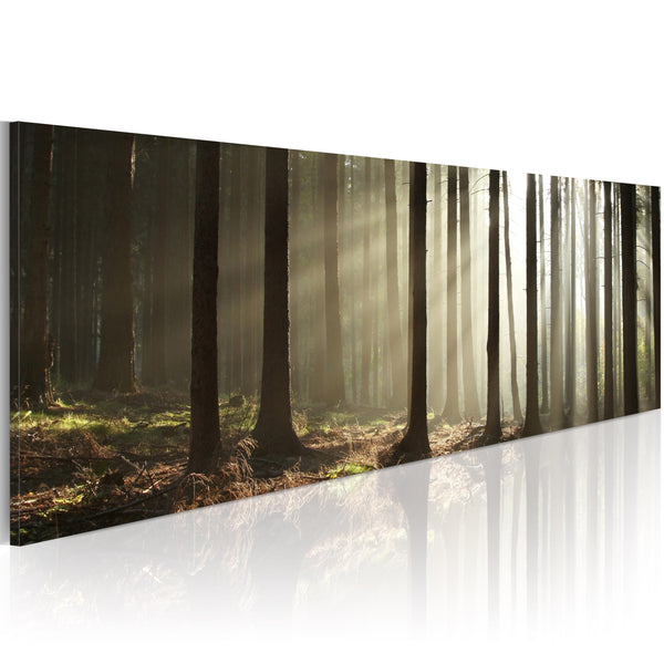 online Quadro - Canvas Print - Morning In The Woods 120x40cm Erroi