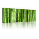 Quadro - Canvas Print - Bamboo Wall 120x40cm Erroi-1