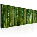 Quadro - Canvas Print - Bamboo in The Sunshine 120x40cm Erroi-1