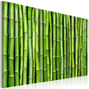 Quadro - Muro Di Bambù Erroi-1