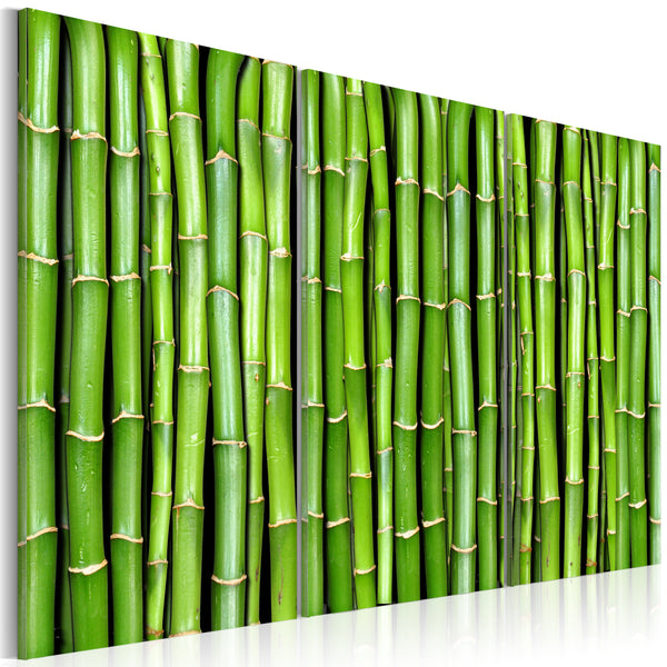 prezzo Quadro - Muro Di Bambu' Erroi