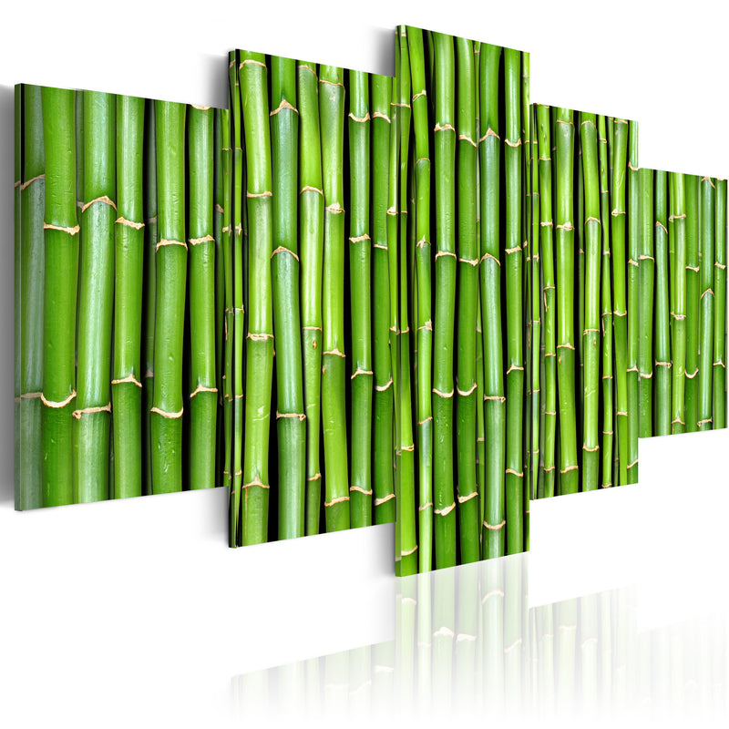 Quadro - Bambù Armonia E Semplicità Erroi-1