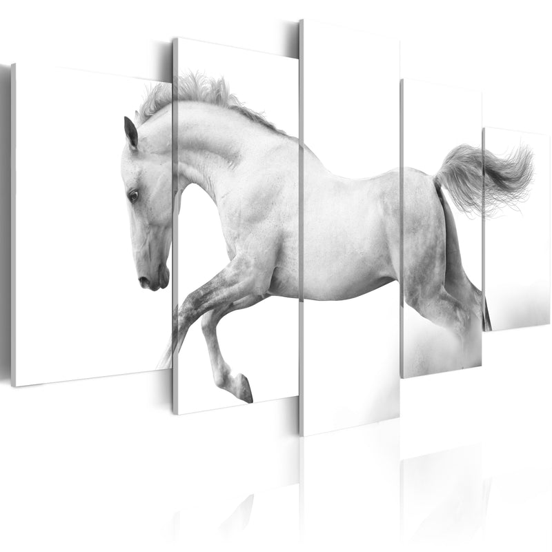 Quadro - Cavallo: Passione e Liberta' 100X50Cm Erroi-1