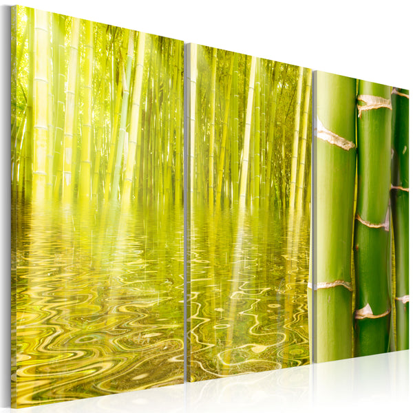 Quadro - Bambu' Riflesso In Uno Specchio D'Acqua Erroi acquista
