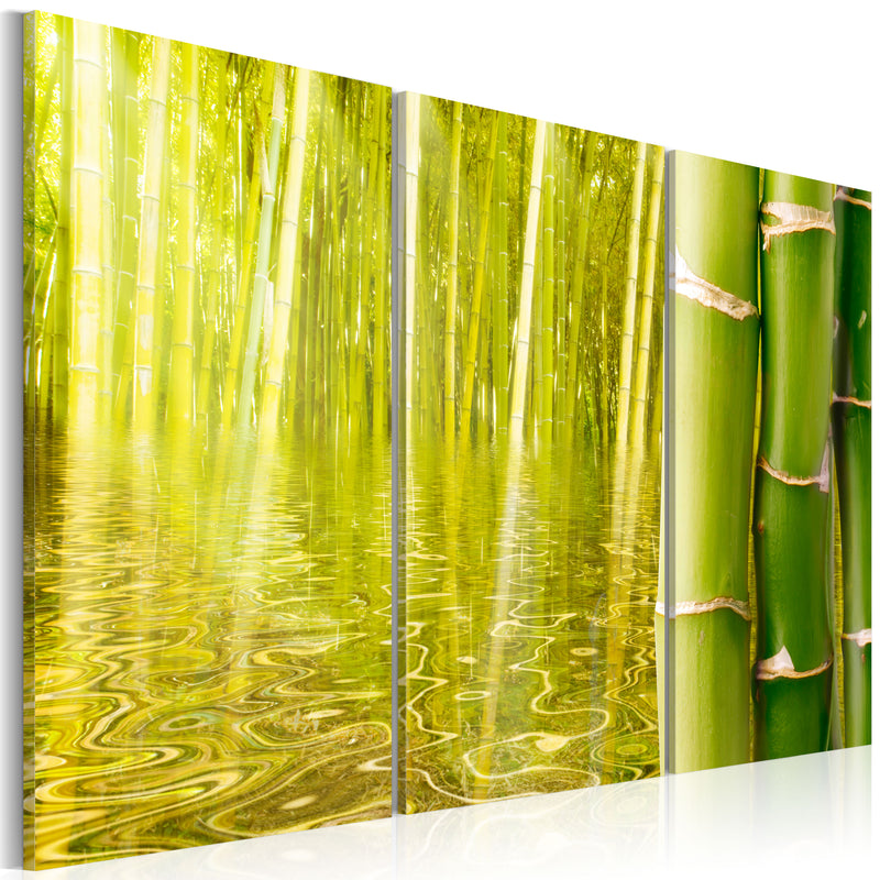 Quadro - Bambù Riflesso In Uno Specchio D'Acqua Erroi-1