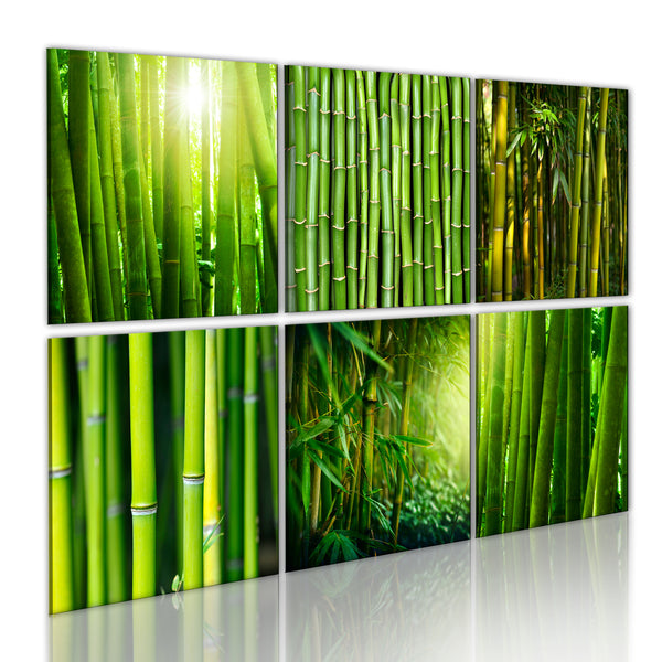 Quadro - Bambu' In Diverse Versioni Erroi sconto