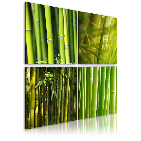 online Quadro - Bambù Erroi