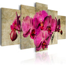 Quadro - Orchids On Canvas - 5 Pieces 100x50cm Erroi-1