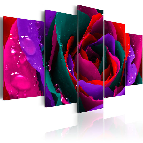 prezzo Quadro - Multicoloured Rose Erroi