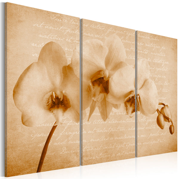 Quadro - Orchidea - Vintage 60x40cm Erroi sconto
