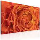 Quadro - Rose di Tonalità Arancio 60x40cm Erroi-1