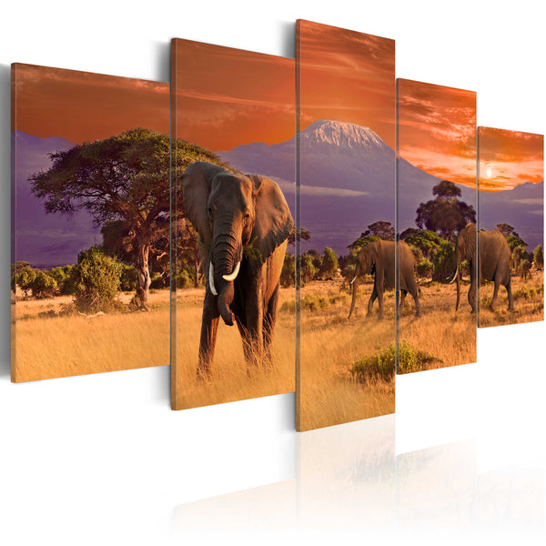 Quadro - Africa Elefanti Erroi online