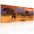 Quadro - La Marcia Degli Elefanti Africani 120X40Cm Erroi-1