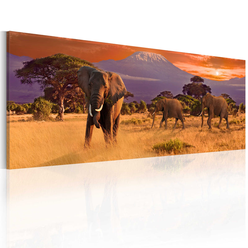 Quadro - La Marcia Degli Elefanti Africani 120X40Cm Erroi-1
