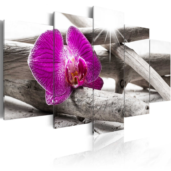 prezzo Quadro - Orchid On Beach 100x50cm Erroi
