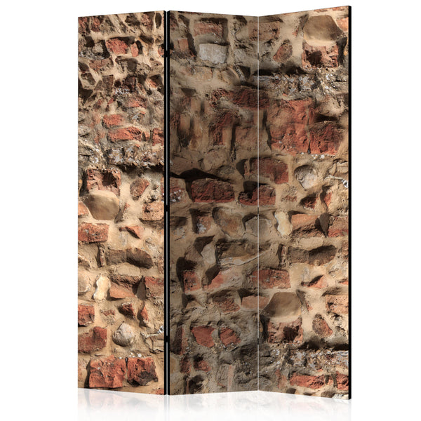 Paravento 3 Pannelli - Ancient Wall 135x172cm Erroi prezzo