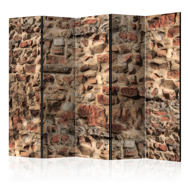 Paravento 5 Pannelli - Ancient Wall II 225x172cm Erroi acquista