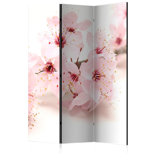 acquista Paravento 3 Pannelli - Cherry Blossom 135x172cm Erroi