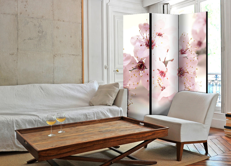 Paravento 3 Pannelli - Cherry Blossom 135x172cm Erroi-2