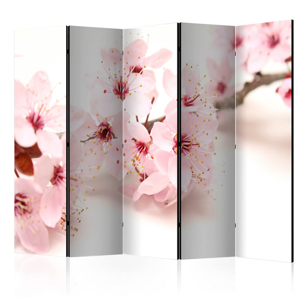 Paravento 5 Pannelli - Cherry Blossom II 225x172cm Erroi sconto