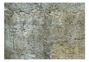 Carta da Parati Fotomurale - Stony Barriere 300x210 cm Erroi-2