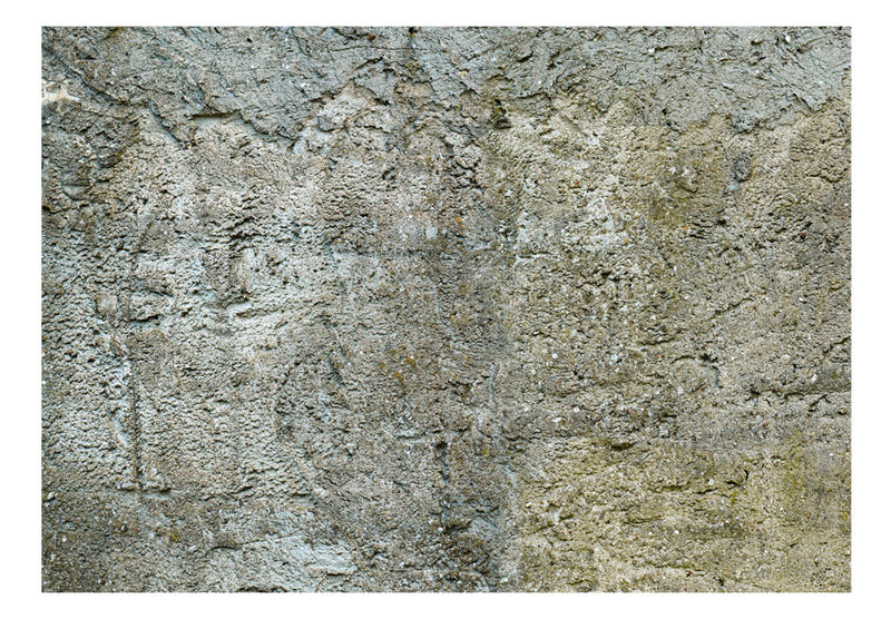 Carta da Parati Fotomurale - Stony Barriere 300x210 cm Erroi-2