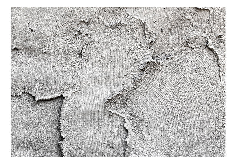 Carta da Parati Fotomurale - Concrete Nothingness 100x70 cm Erroi-2