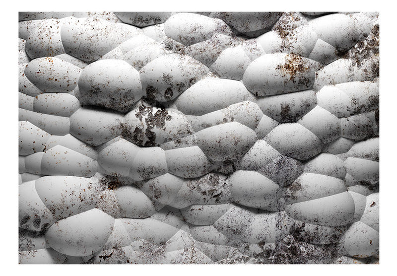 Carta da Parati Fotomurale - White Stones And Moss 100x70 cm Erroi-2