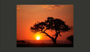 Fotomurale - Africa: Tramonto 250X193 cm Carta da Parato Erroi-2