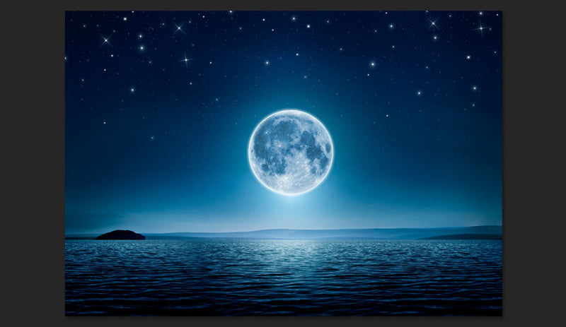 Fotomurale - Moonlit Night 300X210 cm Carta da Parato Erroi-2