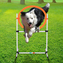 Set Agility Dog Portatile 74,5x66x91 cm con Anello e Sbarra Bianco e Arancione-2