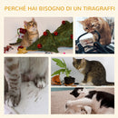 Albero Tiragraffi con Cuccia per Gatti in Legno Sisal 45x45x81 cm  Grigia-7