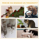 Tiragraffi con Cuccia per Gatti in Legno Sisal 48x48x104 cm  Grigio-7