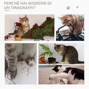 Albero Tiragraffi per Gattini 40x37x51 cm con Piume Palline e Accessori in Legno Marrone e Beige-6