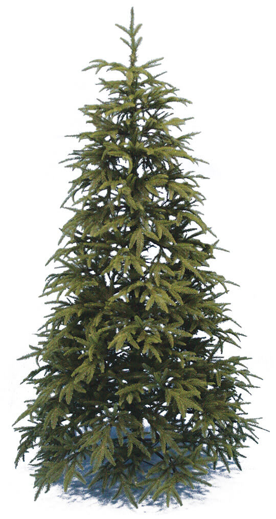 Albero Di Natale Pino Very Tree Verde prezzo
