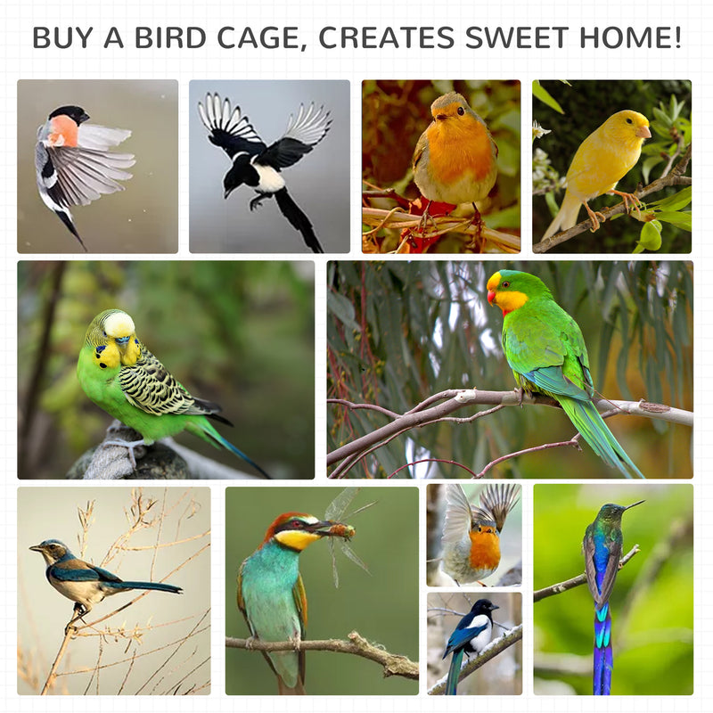 Uccelli da voliera per pappagalli in gabbia grande