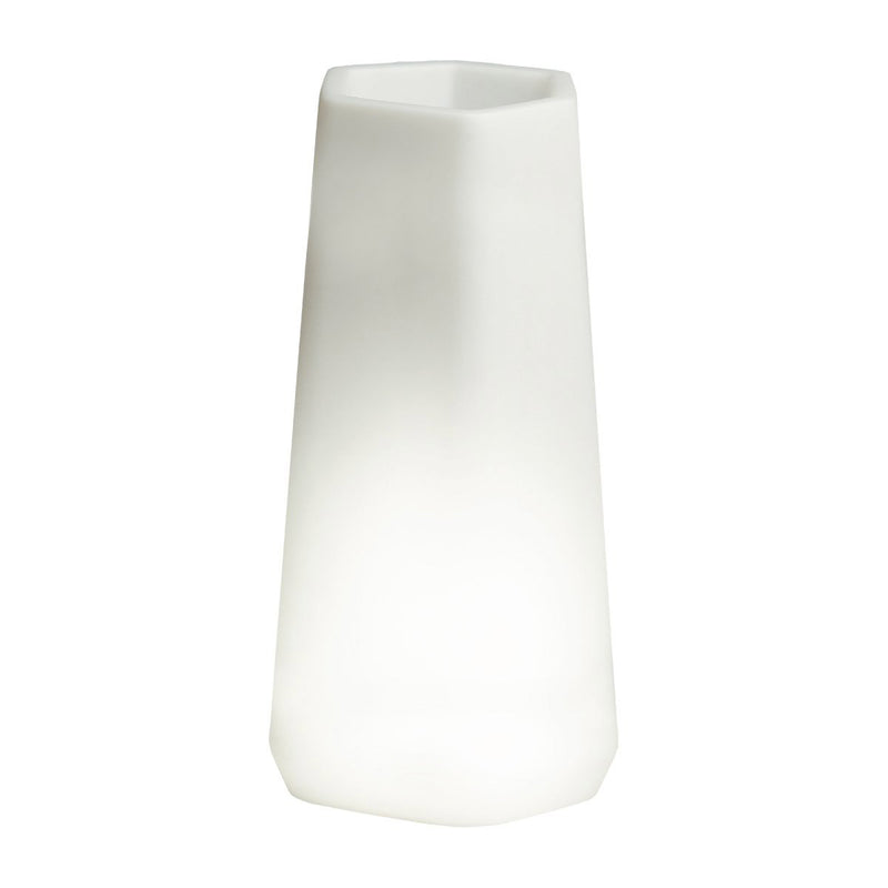 Vaso Luminoso da Giardino a LED 49x40x95 cm in Resina 5W Magnolia Bianco Neutro-1