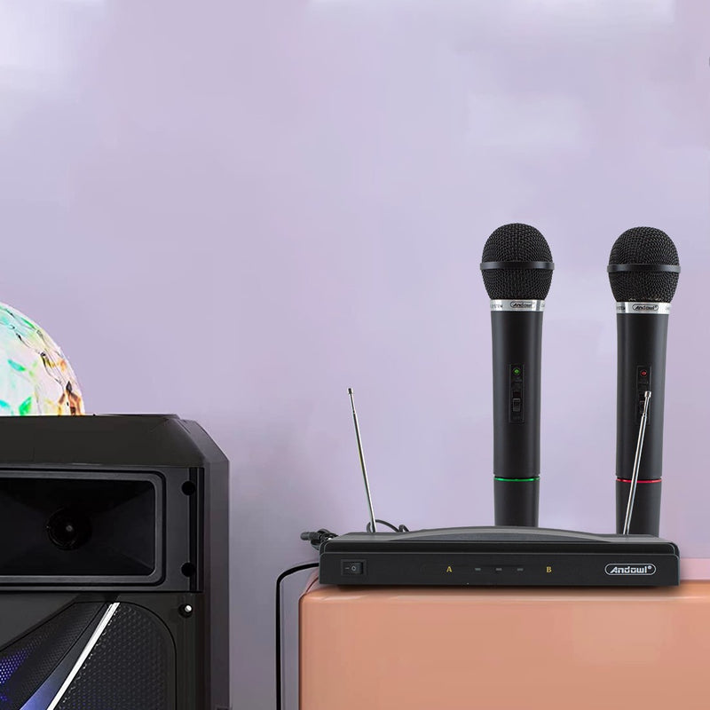 Microfoni Wireless per Karaoke Ricevitore 2 Canali Canto e Presentazioni-4