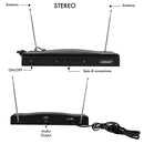 Microfoni Wireless per Karaoke Ricevitore 2 Canali Canto e Presentazioni-5