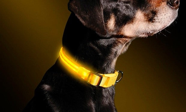 Collare regolabile luminoso a led Taglia S per cani e gatti Giallo-2