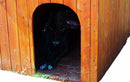 Cuccia per Cani Taglia Grande 90x130x95 cm in Legno Naturale -3
