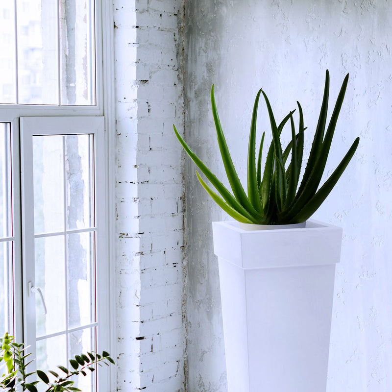Vaso Luminoso da Giardino a LED 40x40x100 cm in Resina 5W Oak Bianco Freddo-4