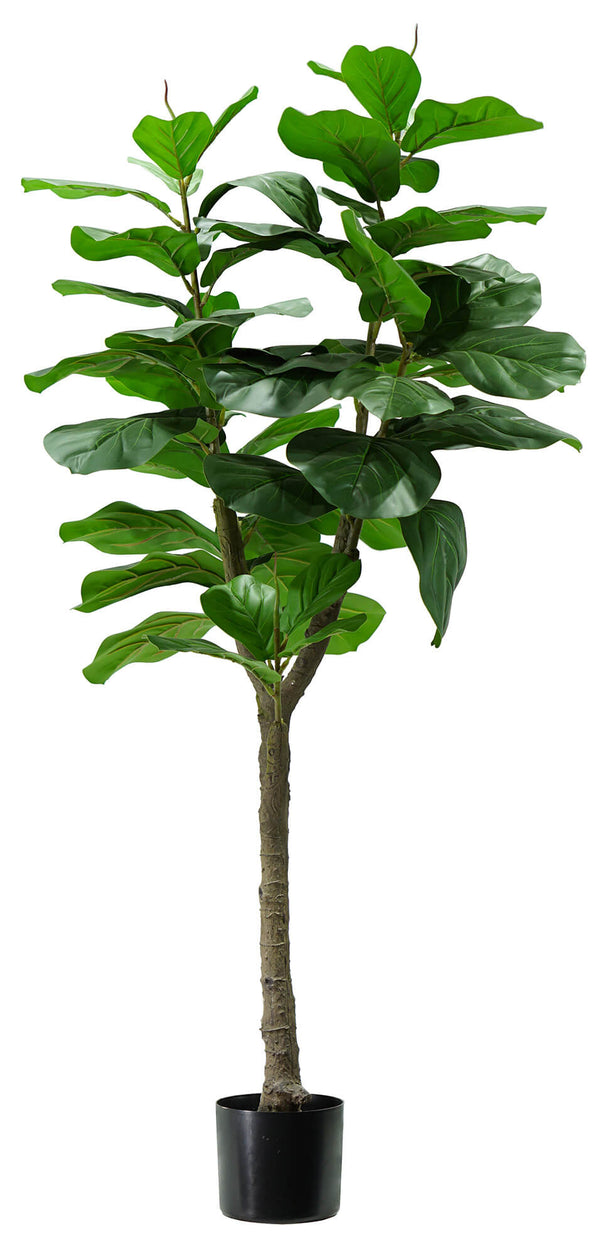 acquista Pianta Artificiale Ficus Lyrata H130 cm con Vaso Verde