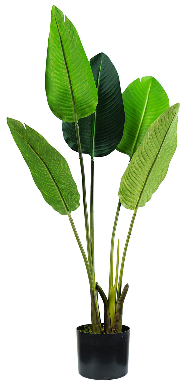 sconto Pianta Artificiale Strelitzia H100 cm con Vaso Verde