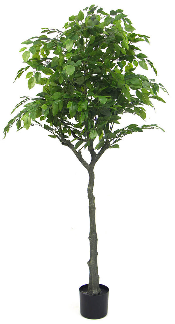 online Pianta Artificiale H160 cm Ficus con Vaso Verde